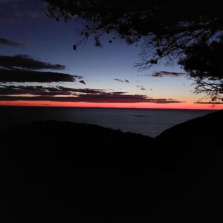 Apartmani Marija Mljet Sobra 外观 照片